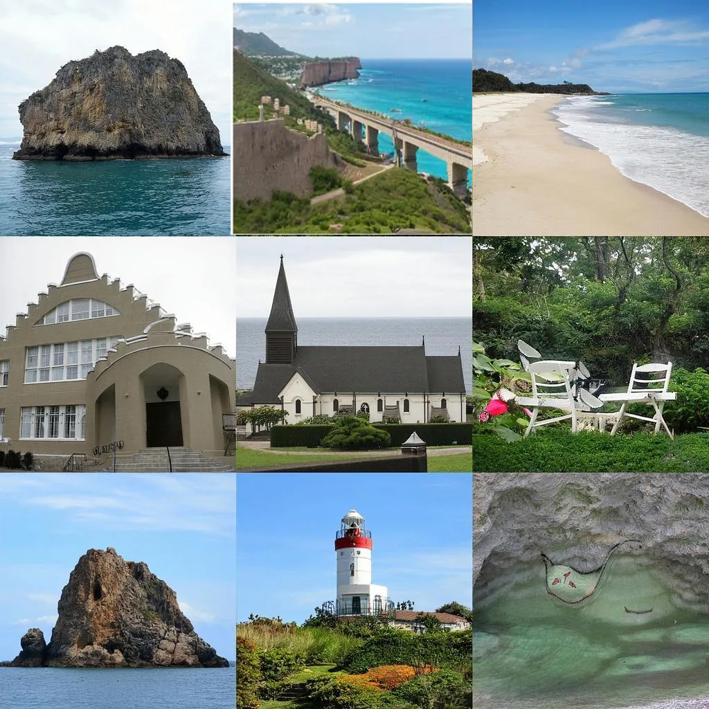 Bermuda Company Directory Data Overview